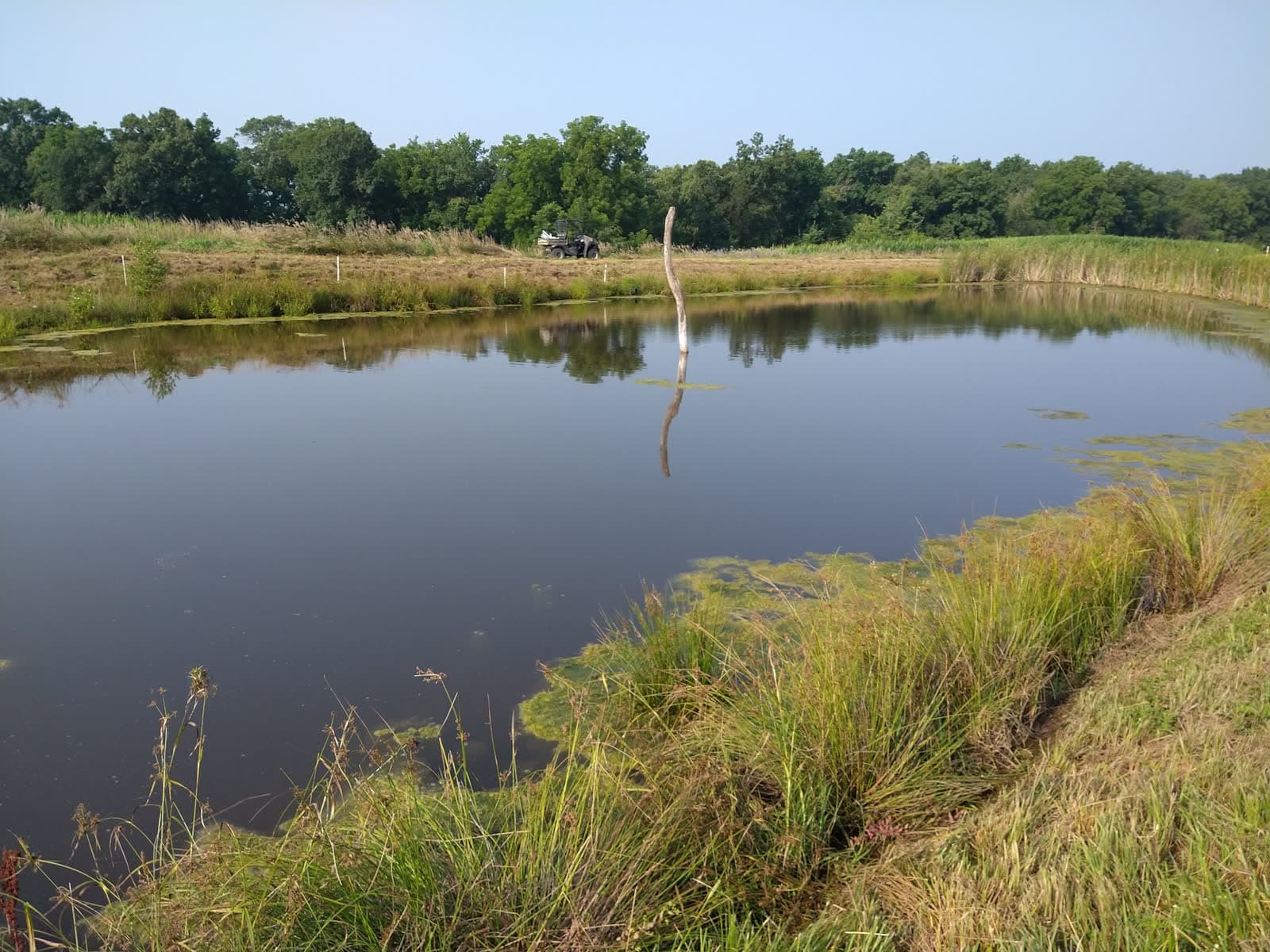 The farm pond and pasture at Leonard Land and Livestock in Liberty, Illinois